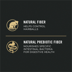 Natural Prebiotic Fibre