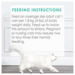 Feeding Recommendations