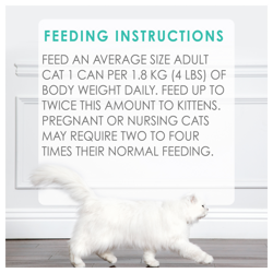 Feeding Recommendations
