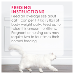 Feeding Recommendations