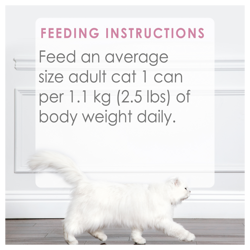 Recommended Feeding