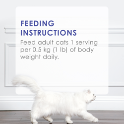 Feeding Instructions