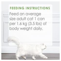 Feeding Recommendations