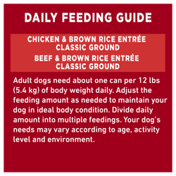Feeding Recommendations