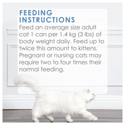 Feeding Recommendations