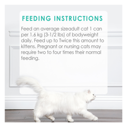 Feeding Recommendations