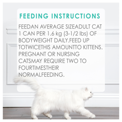 Feeding Recommendations