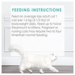 Feeding Recommendations