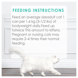 Feeding Recommendations