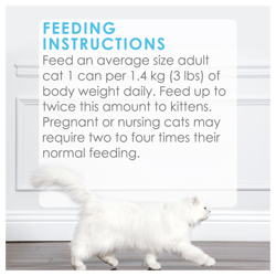 Feeding Recommendations