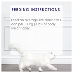 Feeding Recommendations
