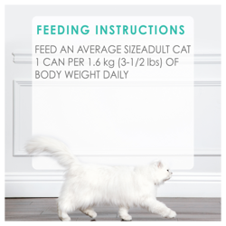 Feeding Recommendations