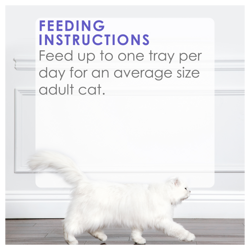 Feeding Recommendations