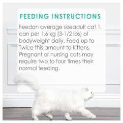 Feeding Recommendations