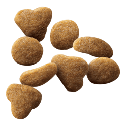 Nourriture pour Chats