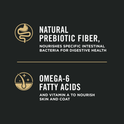 Omega-6 Fatty Acids