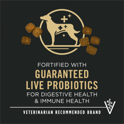 Live Probiotics