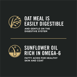 oat meal