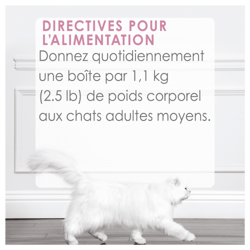 Directives Pour L'alimentation