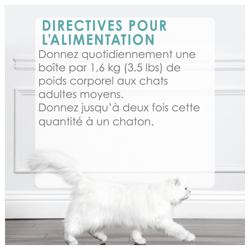 Directives Pour L'alimentation
