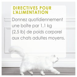 Directives Pour L'alimentation