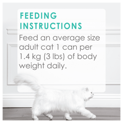 Feeding Instructions