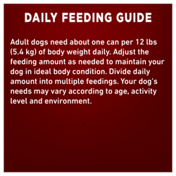 Daily Feeding Guide