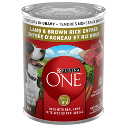 Purina ONE® Lamb & Brown Rice Entrée Tender Cuts in Gravy Dog Food