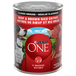 Purina ONEᴹᴰ Moulue Classique Entrée de Boeuf et Riz Brun Nourriture pour Chiens