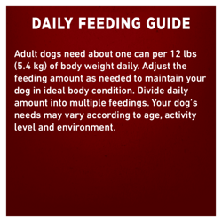 Daily Feeding Guide