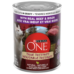 Purina ONE Véritable Instinct Tendres Morceaux en Sauce avec Vrai Bœuf et Vrai Bison Nourriture pour Chiens