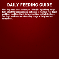 Recommended Daily Feeding Amounts