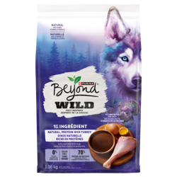 Beyondᴹᴰ Sans Grains inspirée de la chasse dinde naturelle riche en protéines recette de dinde, d’œufs et de bouillon d’os nourriture Sèche Pour Chien