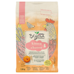 Beyond Chaton Recette de Poulet d'Avoine Nourriture Sèche pour Chats