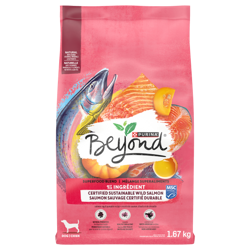 Beyond® Superfood Blend Salmon, Egg & Pumpkin Recipe Dry Dog Food