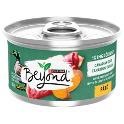 Beyond® Canadian Duck & Sweet Potato Recipe Pâté Cat Food