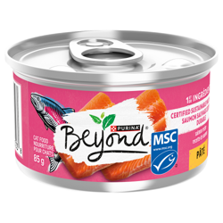 Beyond® Pâté Wild-Caught Salmon Recipe Cat Food