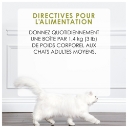Directives Pour L'alimentation