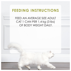 Feeding Recommendations