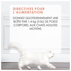 Directives Pour L'alimentation