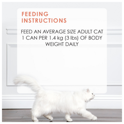 Feeding Recommendations