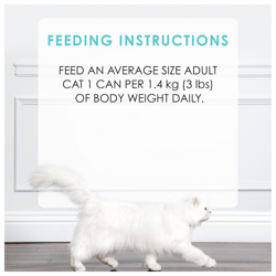 Feeding Recommendations