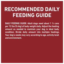 feeding guide