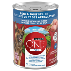 Purina® ONE® +Plus Tender Cuts In Gravy Bone & Joint Health Chicken & Brown Rice Entrée Dog Food