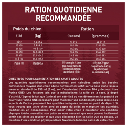 Ration Quotidienne Recommandée