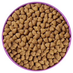 pieces of feed