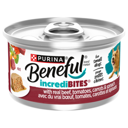 Benefulᴹᴰ IncrediBitesᴹᴰ pâté avec du vrai bœuf nourriture pour chiens