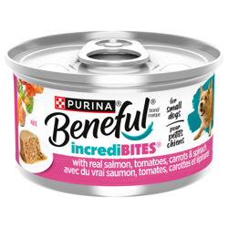 Benefulᴹᴰ IncrediBitesᴹᴰ avec du Vrai Saumon Pâté Nourriture pour Chiens