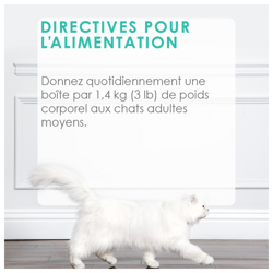 Directives Pour L'alimentation