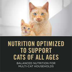 optimized to support cats of all ages